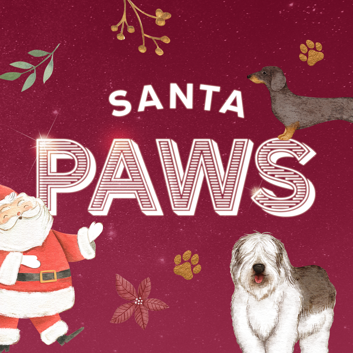 Santa Paws — Archerfield Walled Garden
